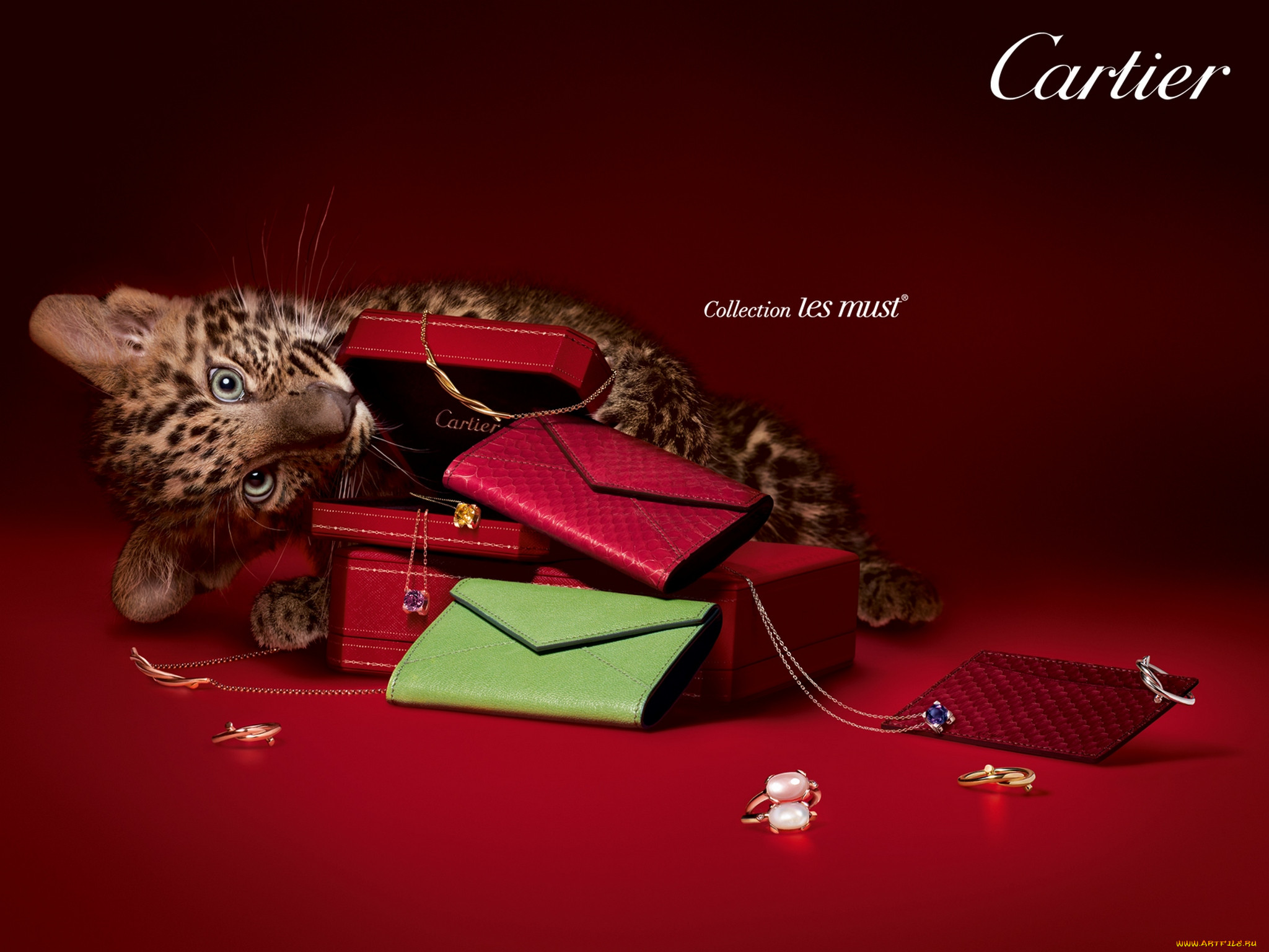 cartier, 